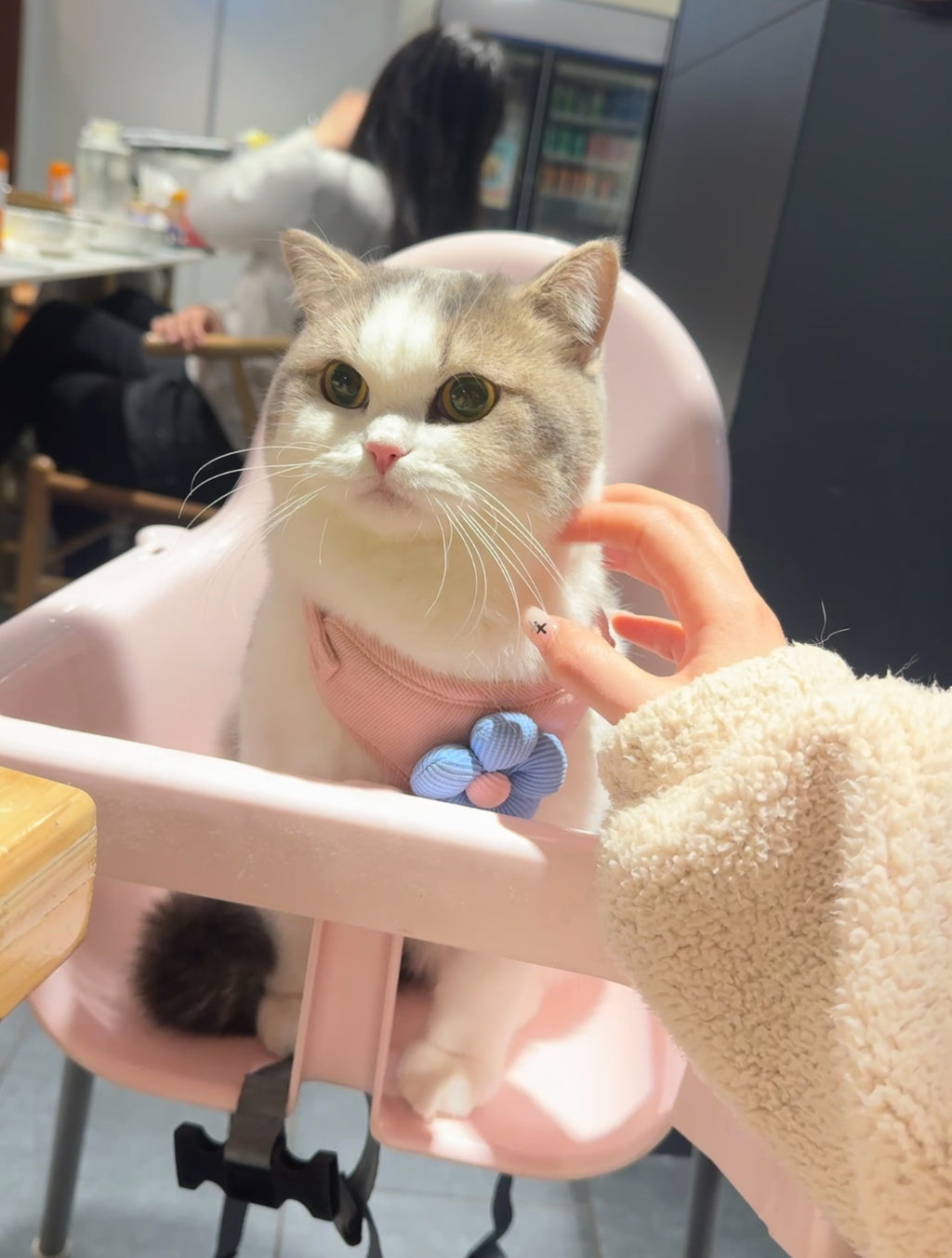 Anti-Slip Snowboard Stomp Pad